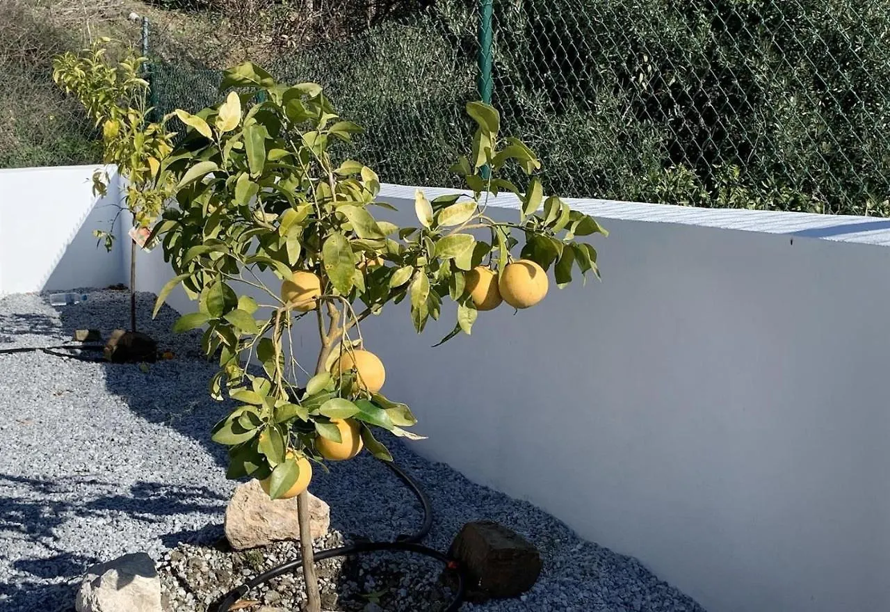 Holiday home Casa Verdejo Competa Spain